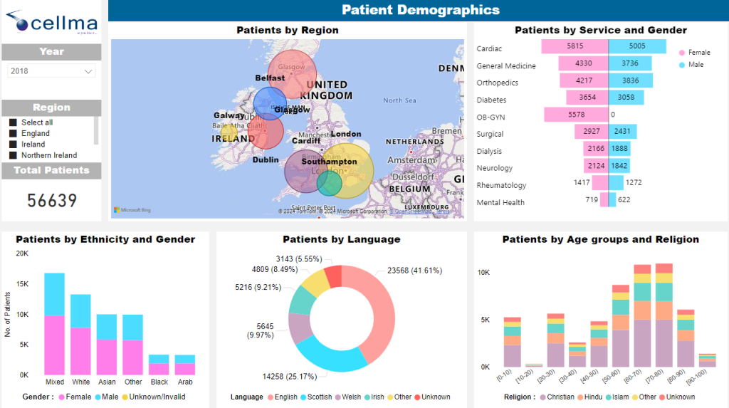 Patient Demographics